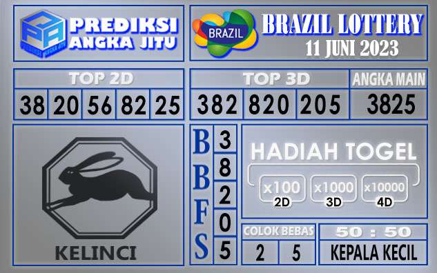 Prediksi Brazil 11 Juni 2023